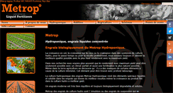 Desktop Screenshot of metrop.biz