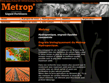 Tablet Screenshot of metrop.biz